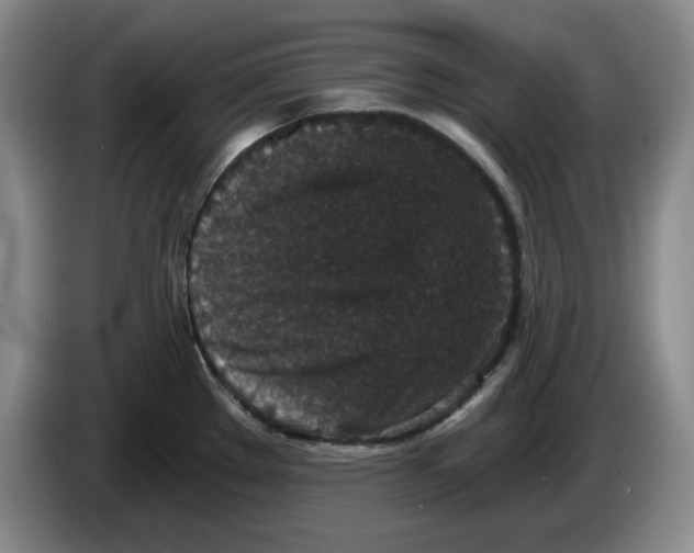 X0000084041289200703092023