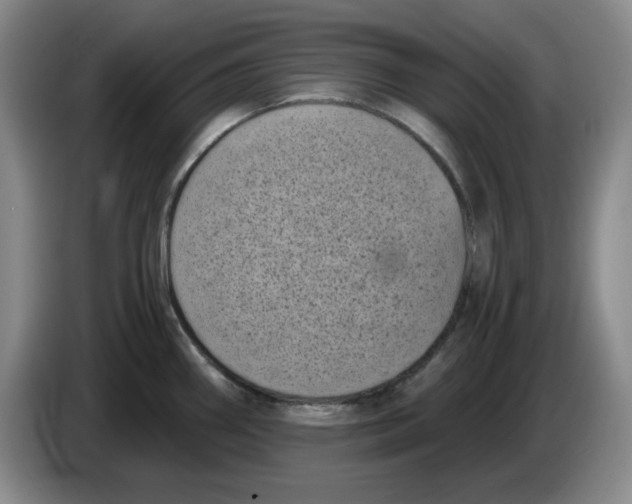 X0000084041290200703092023