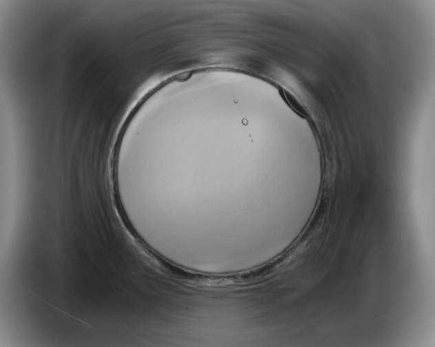 X0000084041291200703092023