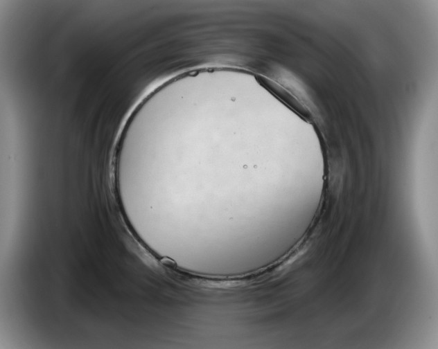 X0000084041292200703092023