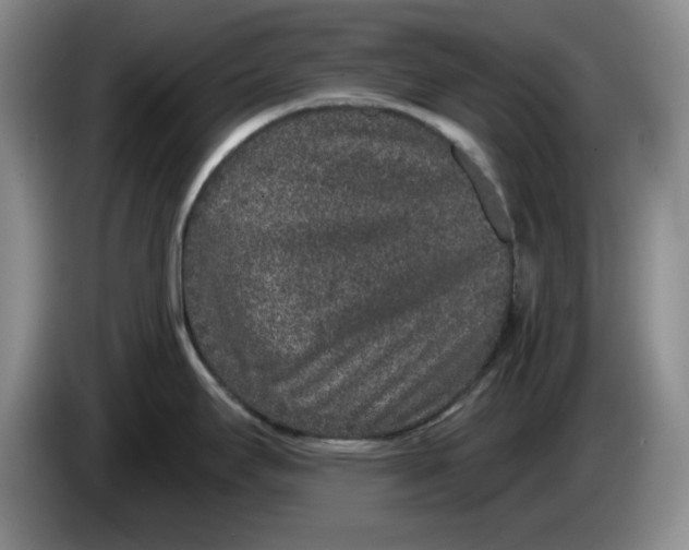 X0000084041295200703092023