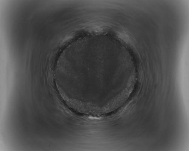 X0000084041297200703092023