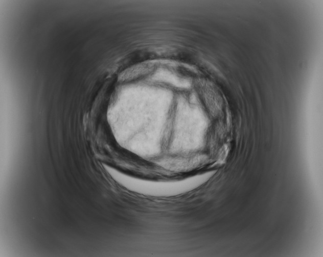 X0000084041298200703092023