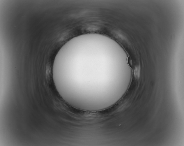 X0000084041299200703092023