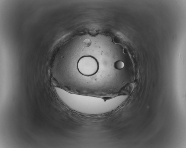 X0000084041302200703092023