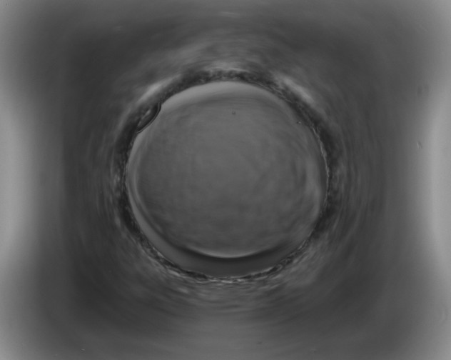 X0000084041303200703092023