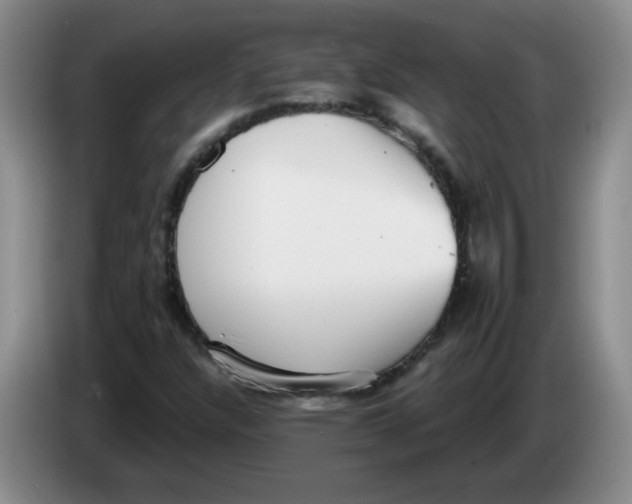 X0000084041304200703092023