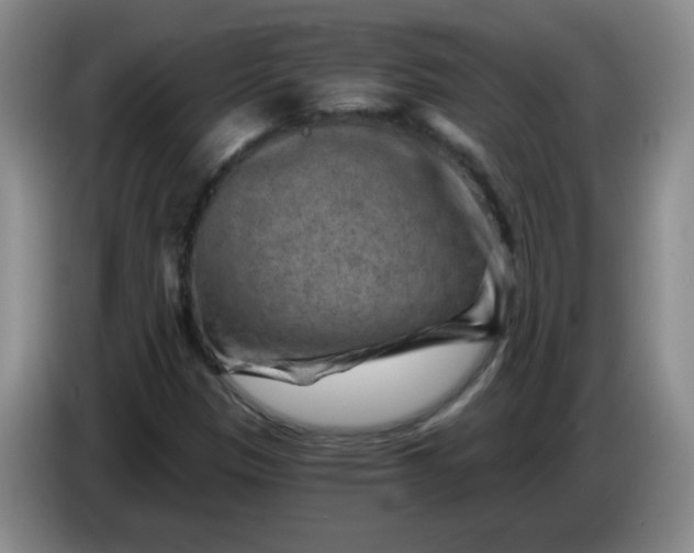 X0000084041305200703092023