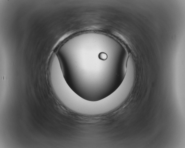 X0000084041308200703092023