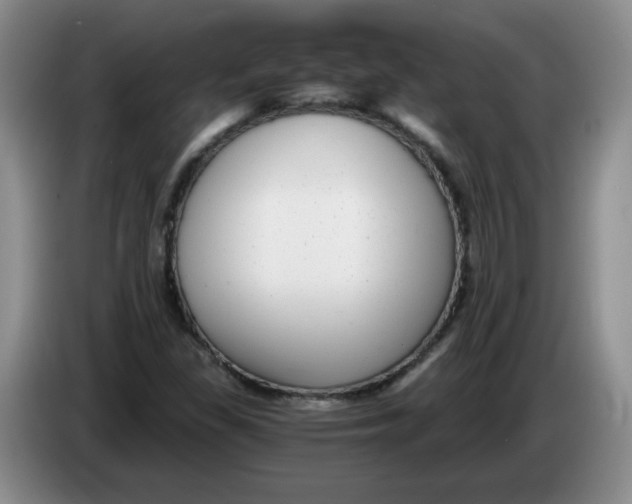 X0000084041309200703092023