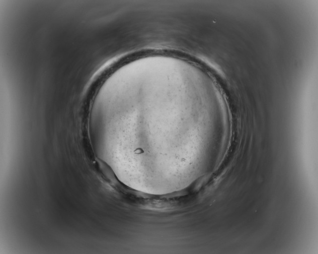 X0000084041311200703092023