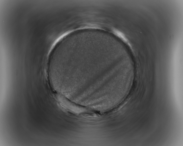 X0000084041312200703092023