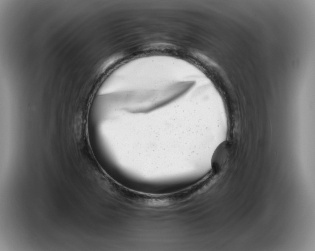 X0000084041313200703092023