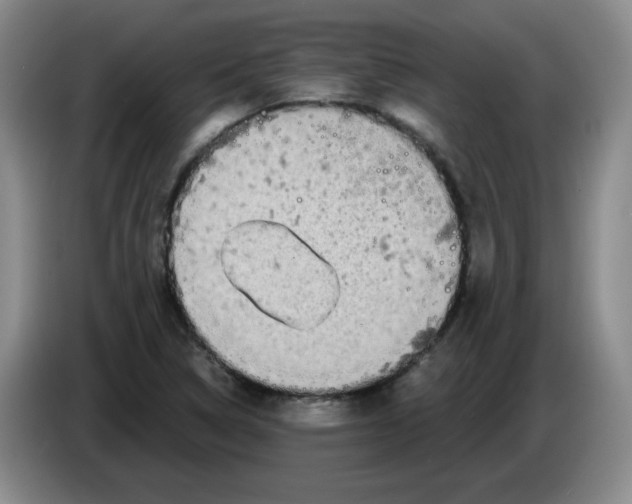 X0000084041314200703092023