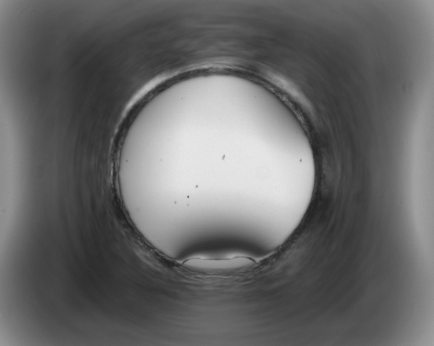 X0000084041316200703092023