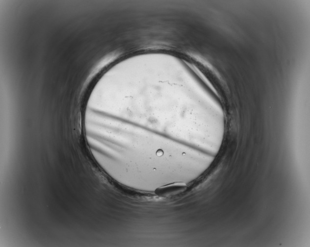 X0000084041317200703092023