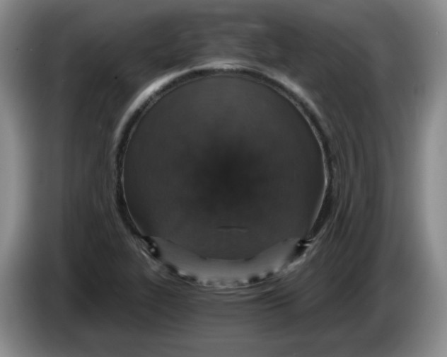 X0000084041319200703092023