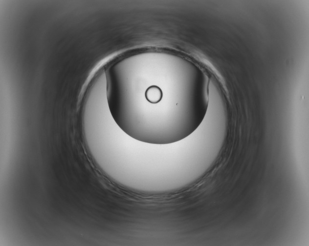 X0000084041320200703092023