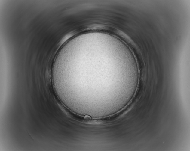 X0000084041321200703092023