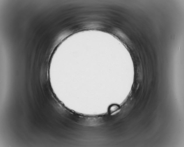 X0000084041322200703092023