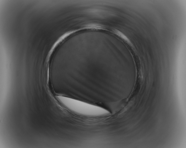 X0000084041323200703092023