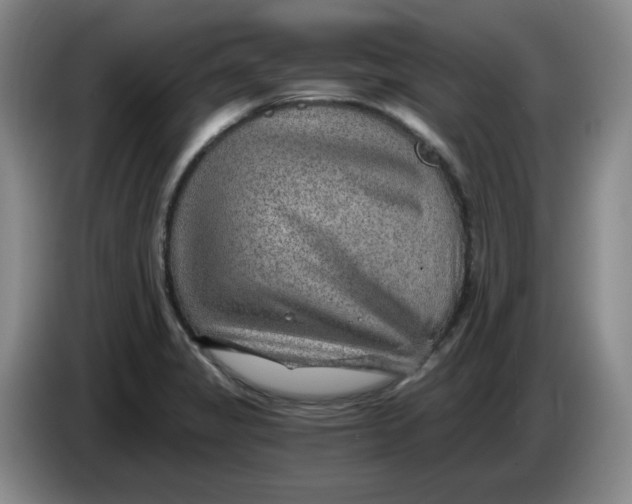 X0000084041325200703092023