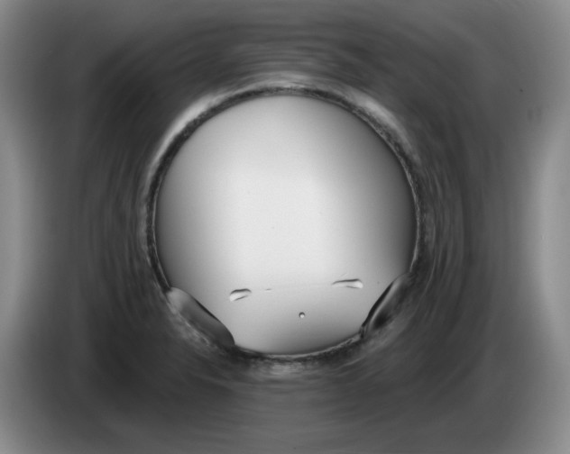 X0000084041326200703092023