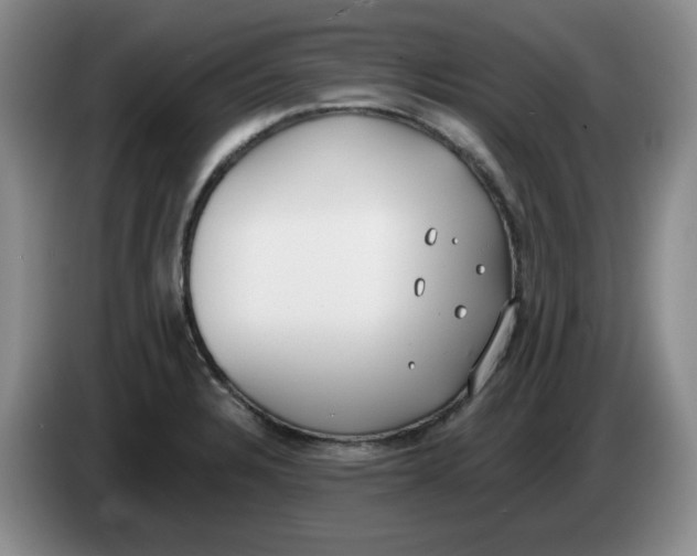 X0000084041328200703092023