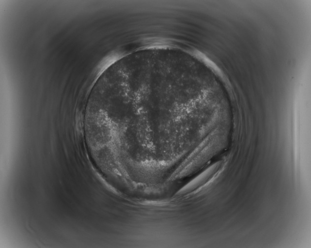 X0000084041329200703092023