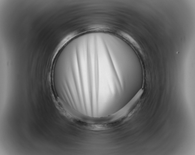 X0000084041330200703092023