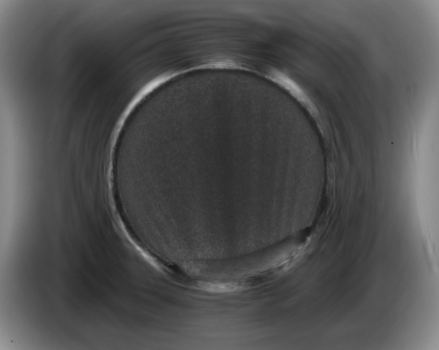 X0000084041331200703092023