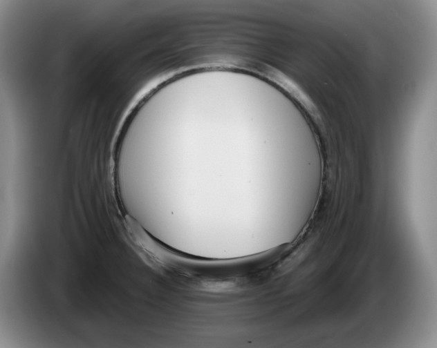 X0000084041332200703092023