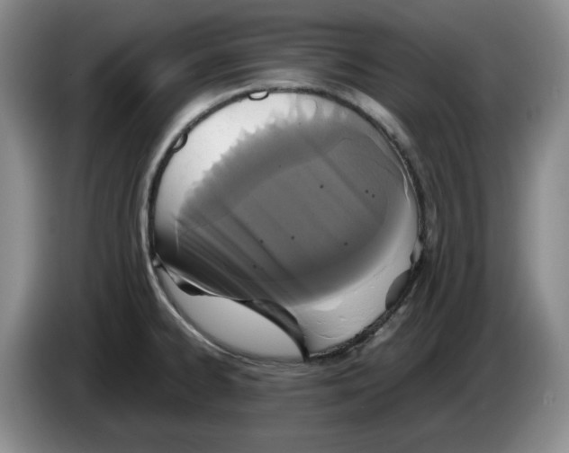 X0000084041334200703092023