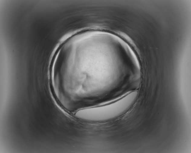 X0000084041335200703092023