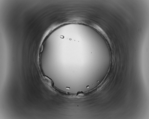 X0000084041336200703092023