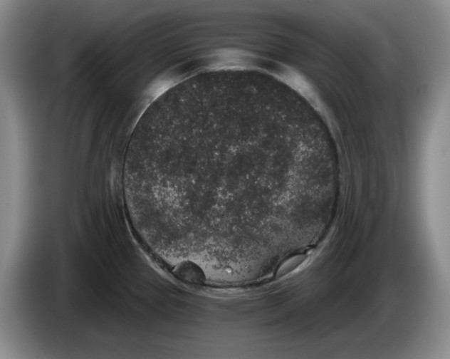 X0000084041337200703092023