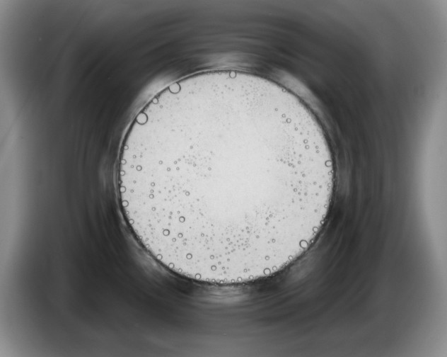 X0000084041338200703092023