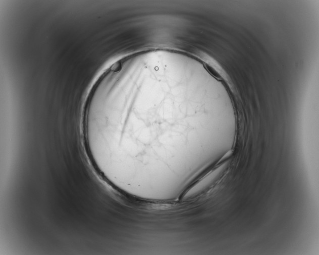 X0000084041339200703092023