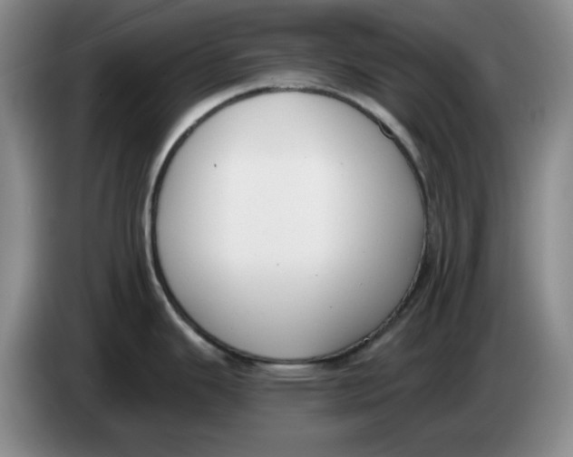 X0000084041343200703092023