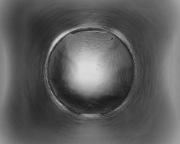 X0000084041344200703092023