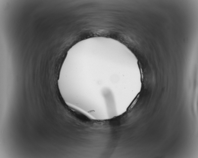 X0000084041345200703092023