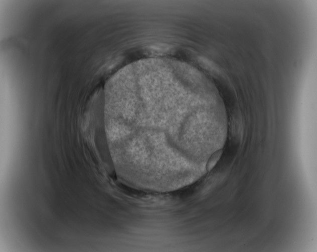 X0000084041346200703092023