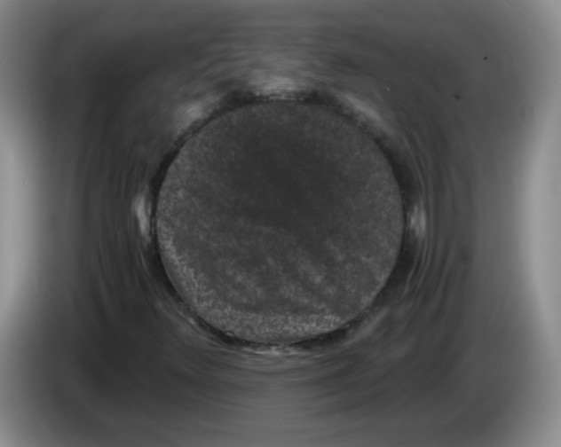 X0000084041348200703092023