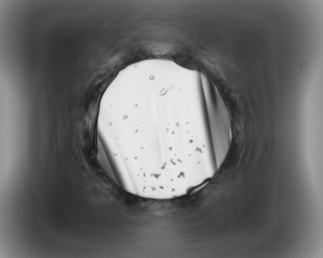 X0000084041349200703092023