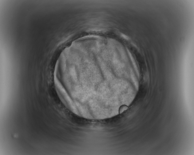 X0000084041350200703092023