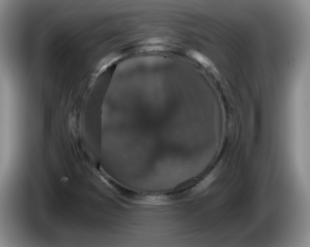 X0000084041353200703092023