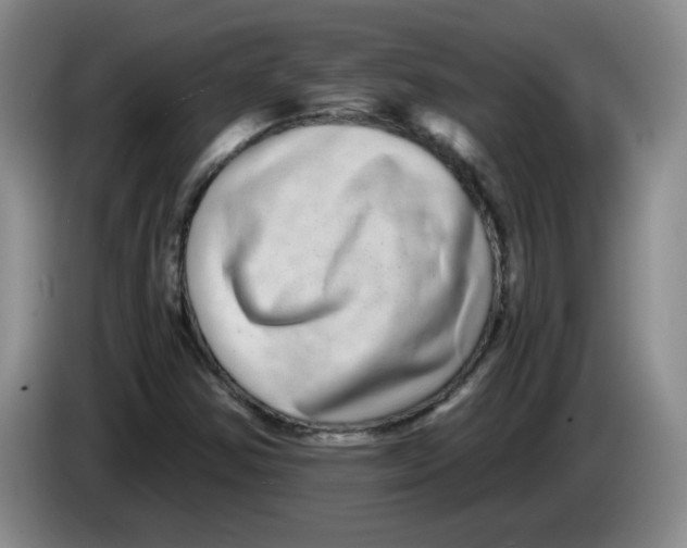 X0000084041354200703092023