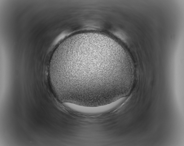 X0000084041355200703092023