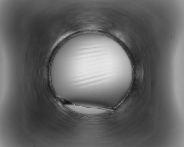 X0000084041356200703092022