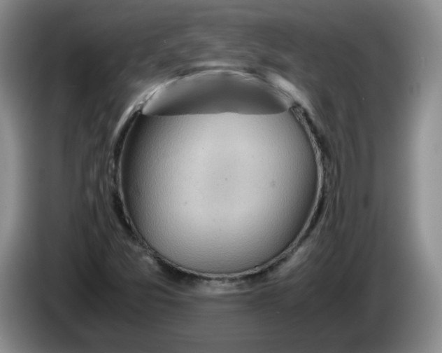 X0000084041357200703092022